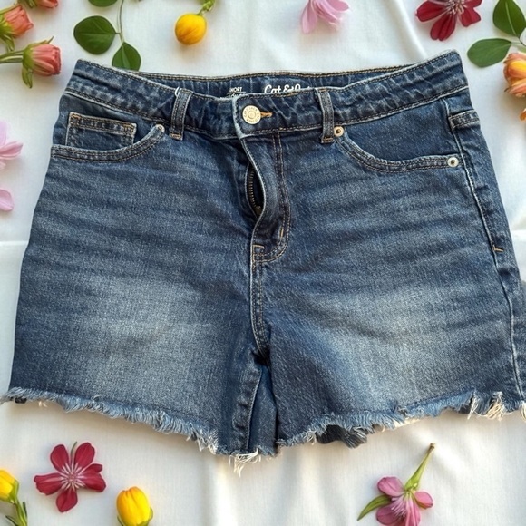Cat & Jack Blue Casual Denim Shorts - Picture 1 of 2